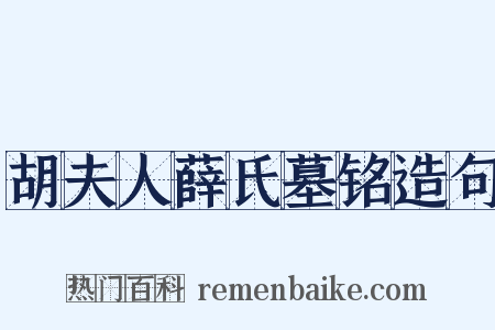 胡夫人薛氏墓铭造句是什么意思的图片